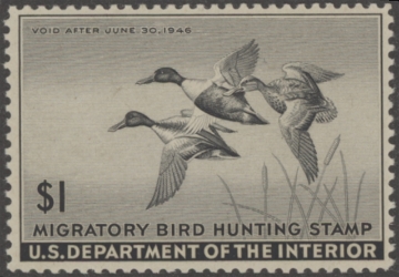 Picture of RW12 1945 Duck Stamp  MNH F-VF
