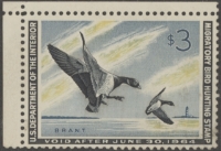Scan of RW30 1963 Duck Stamp  Unused, Faults F-VF