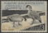 Scan of RW31 1964 Duck Stamp  Used Fine