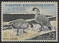 Scan of RW31 1964 Duck Stamp  Used F-VF