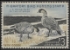 Scan of RW31 1964 Duck Stamp  Used F-VF