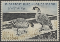 Scan of RW31 1964 Duck Stamp  MNH, Faults VF