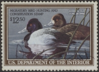 Scan of RW56 1989 Duck Stamp  Used F-VF