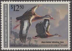Scan of RW57 1990 Duck Stamp  MLH VF