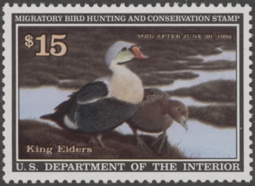 Picture of RW58 1991 Duck Stamp  MNH VF