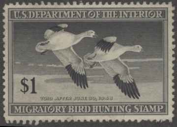Picture of RW14 1947 Duck Stamp  Unsigned, Faults F-VF
