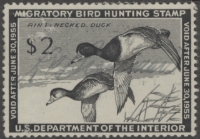 Scan of RW21 1954 Duck Stamp  Used F-VF
