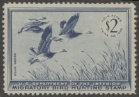 Scan of RW22 1955 Duck Stamp  MLH VF