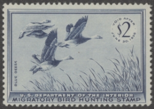 Scan of RW22 1955 Duck Stamp  MNH F-VF