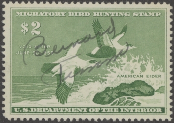 Picture of RW24 1957 Duck Stamp  Used F-VF