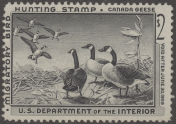 Picture of RW25 1958 Duck Stamp  MNH Fine