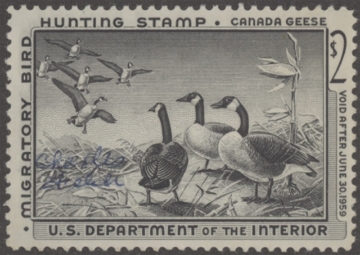 Scan of RW25 1958 Duck Stamp  MNH F-VF