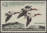 Scan of RW32 1965 Duck Stamp  MNH VF