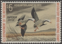 Scan of RW39 1972 Duck Stamp  MNH XF-Sup 95