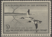 Scan of RW23 1956 Duck Stamp  MNH XF-Sup 95