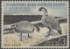 Scan of RW31 1964 Duck Stamp  MNH XF 90