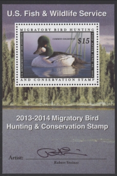 Picture of RW80B 2013 Duck Stamp  MNH Sup 98