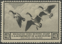 Scan of RW3 1936 Duck Stamp  Unsigned, Creased F-VF