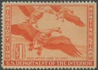 Scan of RW11 1944 Duck Stamp  Used F-VF