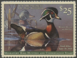 Scan of RW86 2019 Duck Stamp  MNH XF