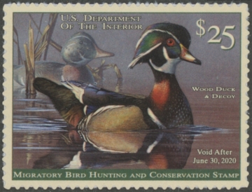 Picture of RW86 2019 Duck Stamp  MNH VF - XF