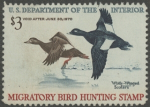 Scan of RW36 1969 Duck Stamp  Unsigned F-VF