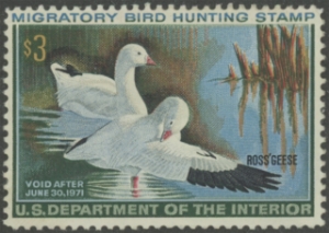 Scan of RW37 1970 Duck Stamp  Unsigned F-VF