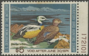 Scan of RW40 1973 Duck Stamp  Unsigned F-VF