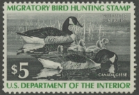 Scan of RW43 1976 Duck Stamp  Unsigned F-VF