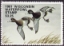 Scan of 1981 Wisconsin Duck Stamp MNH VF