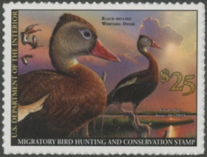 Scan of RW87 2020 Duck Stamp  MNH VF