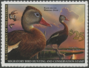 Scan of RW87 2020 Duck Stamp  MNH VF