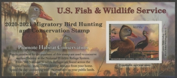 Picture of RW87A 2020 Duck Stamp  MNH VF