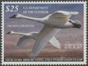 Scan of RW83 2016 Duck Stamp  MNH F-VF