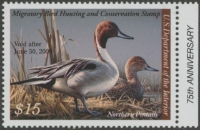 Scan of RW75 2008 Duck Stamp  MNH VF