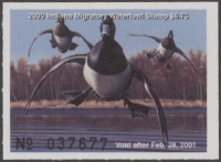 Scan of 2000 Indiana Duck Stamp MNH VF