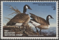 Scan of 1981 Minnesota Duck Stamp MNH VF
