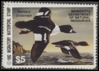 Scan of 1992 Minnesota Duck Stamp MNH VF