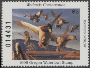 Picture of 1996 Oregon Duck Stamp MNH VF