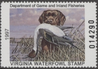 Scan of 1997 Virginia Duck Stamp MNH VF