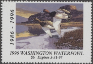 Scan of 1996 Washington Duck Stamp MNH VF