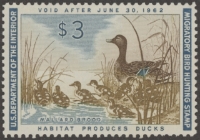 Scan of RW28 1961 Duck Stamp  MNH F-VF