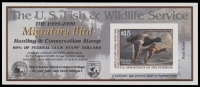 Scan of RW66A 1999 Duck Stamp  MNH F-VF