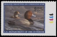 Scan of RW89 2022 Duck Stamp  MNH F-VF