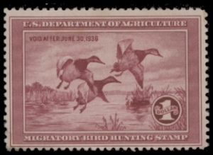 Scan of RW2 1935 Duck Stamp  MLH F-VF