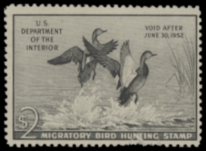 Scan of RW18 1951 Duck Stamp  Unsigned F-VF
