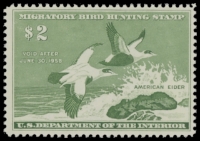 Scan of RW24 1957 Duck Stamp  MNH F-VF