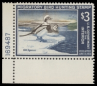 Scan of RW34 1967 Duck Stamp  MNH XF