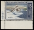 Scan of RW34 1967 Duck Stamp  MNH XF
