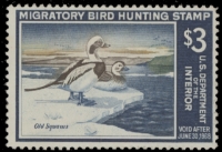 Scan of RW34 1967 Duck Stamp  MNH F-VF
